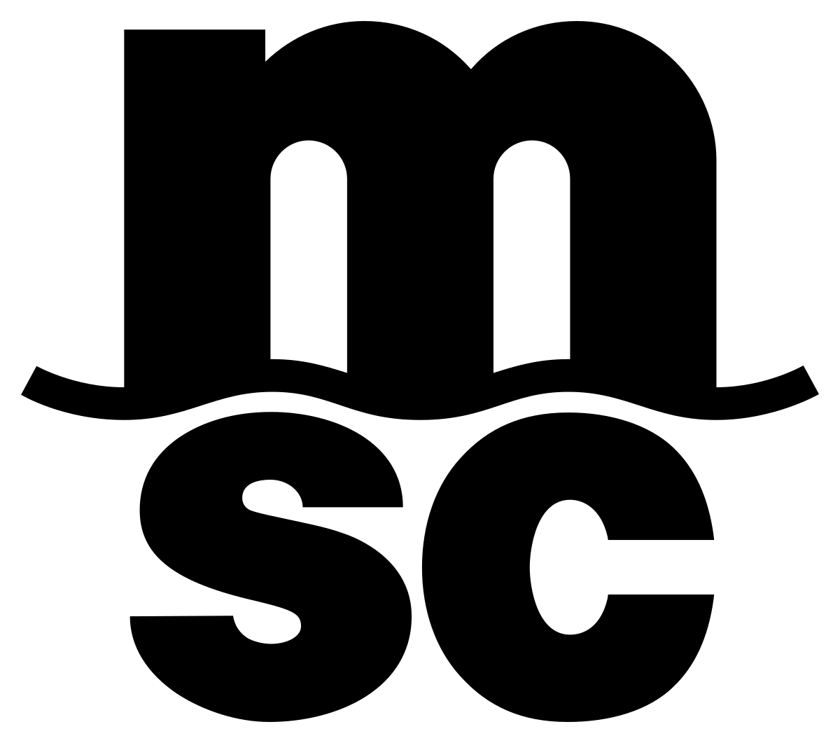 imgi_174_MSC